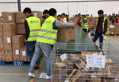分拣员招聘_京东集团CEO刘强东 风来了 猪摔死得更快